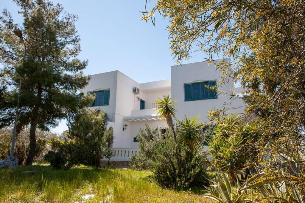 Villa Velissarios: Wonderful Villa Next To Beach Aegina Zewnętrze zdjęcie