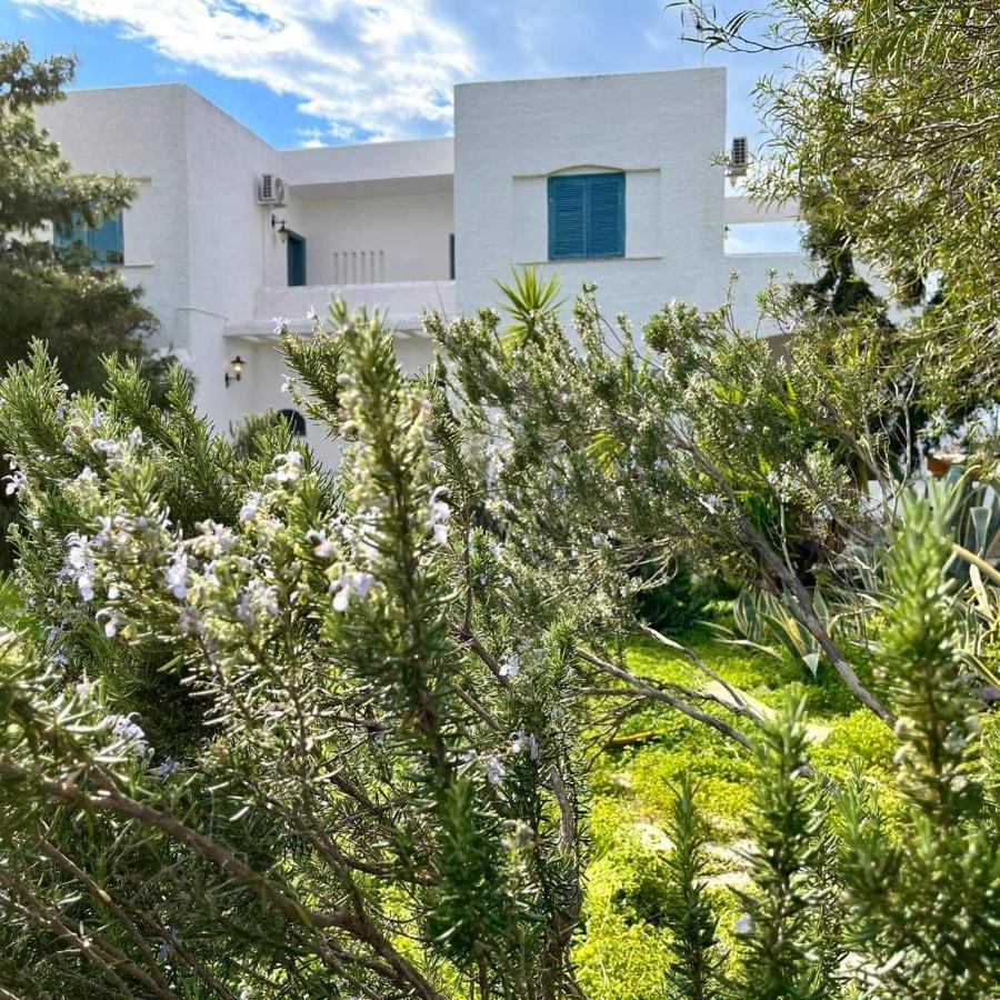 Villa Velissarios: Wonderful Villa Next To Beach Aegina Zewnętrze zdjęcie